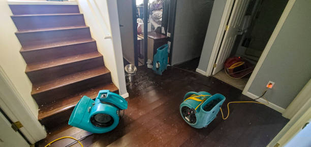 Best Ceiling water damage repair  in Braddock, VA