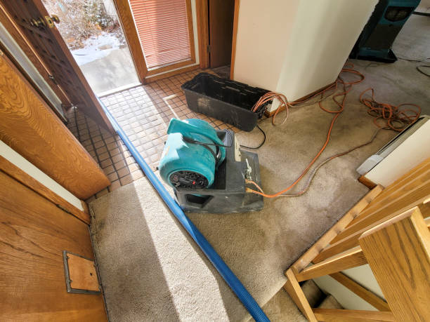 Best Basement water damage restoration  in Braddock, VA