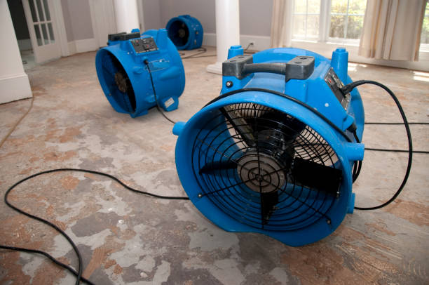 Best Basement water damage restoration  in Braddock, VA