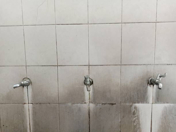 Best Flooded house restoration  in Braddock, VA