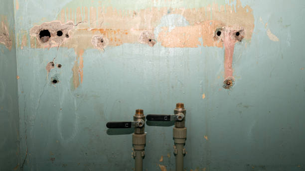 Best 24-hour water damage restoration  in Braddock, VA